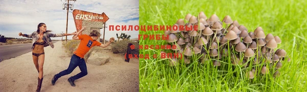 синтетический гашиш Михайловка
