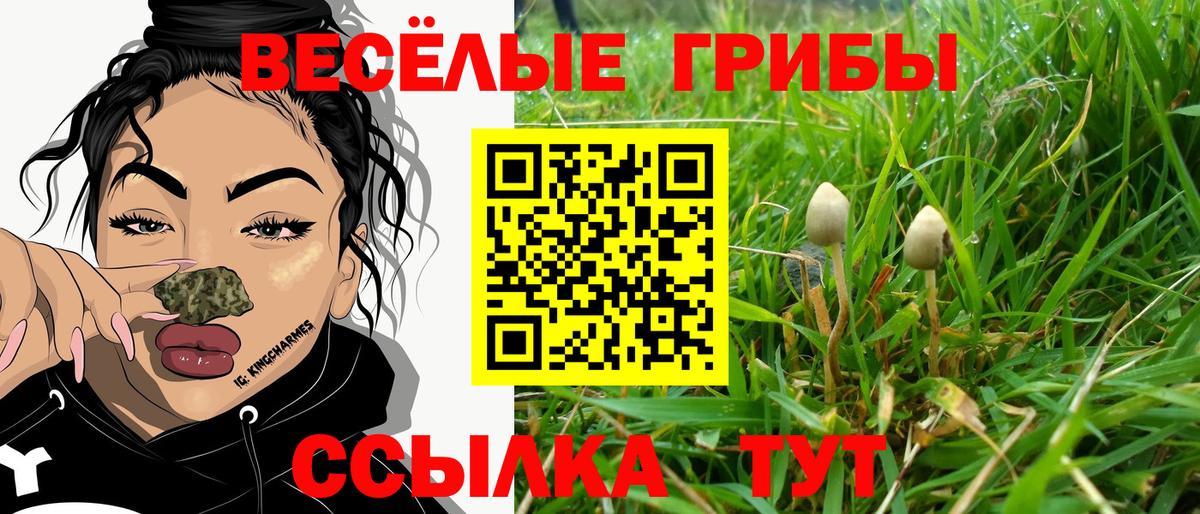 Галлюциногенные грибы GOLDEN TEACHER Каменск-Шахтинский